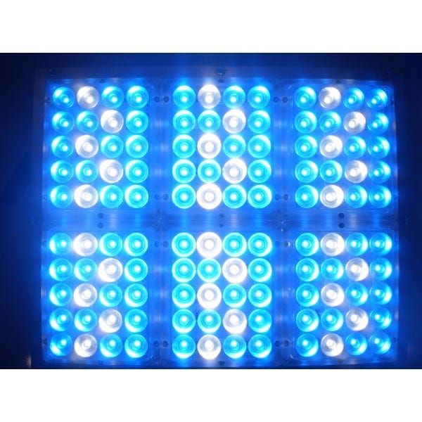 Apache Tech - White and Blue LEDs - AT120WB