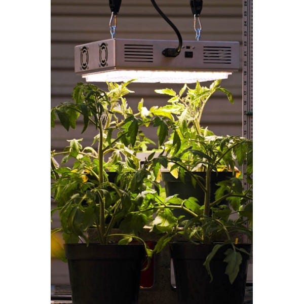 Apache Tech LED - White - AT200