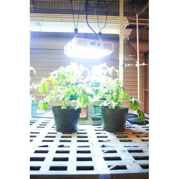 Apache Tech LED - White - AT200