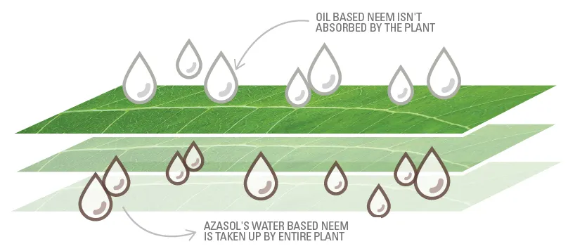AzaSol Container Neem Based Water Soluble Powder - 2LB Water Based Neem