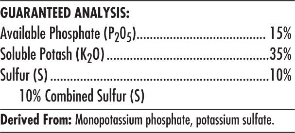 Advanced Nutrients - Big Bud Powder - 1 Kg Guaranteed Analysis