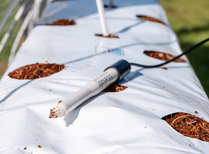 Bluelab Combo Plus Meter - Probe Included - Probe on Coco