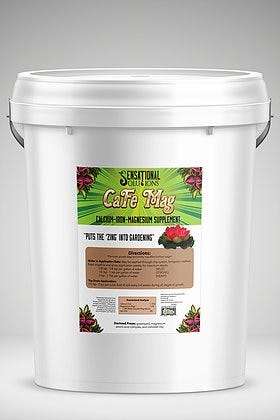 Sensational Solutions - CaFe Mag - 25 lbs