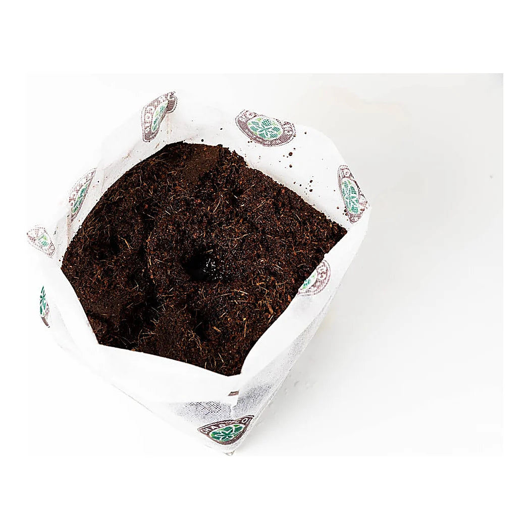 Char Coir BioPot filled with coco substrate