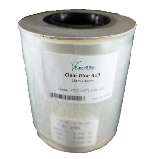 Common Culture Clear Film Glue Roll (Root Aphids) Main Image