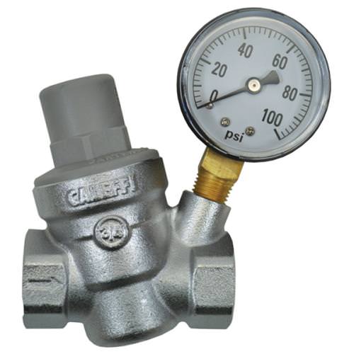 Dilution Solutions Pressure Regulator with Gauge – ¾†(FPT x FPT)
