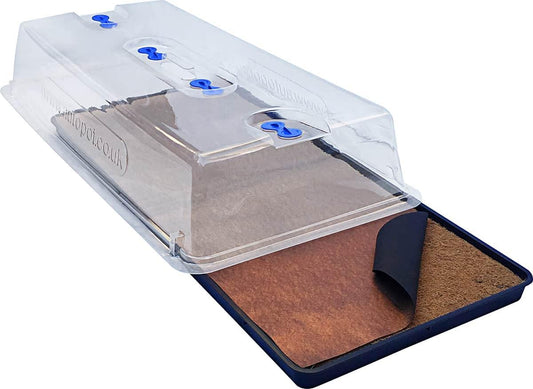 easy2Propagate Basic Kit with Lid