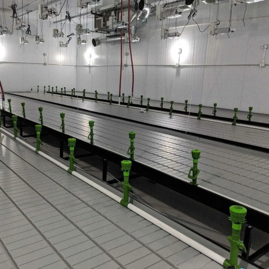 FS Rolling Benches 3x6 ft | 12 Gauge Steel, Anti-Rotate Plate - benches installed in a grow room