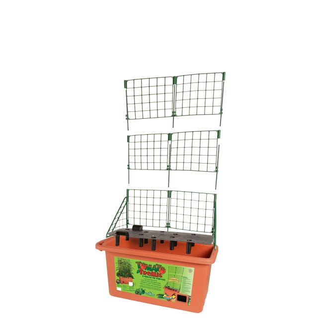 Tomato Trellis