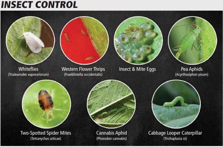 GH TriShield Insecticide Miticide Fungicide 1-Quart Curing Severe Powdery Mildew Insect Control