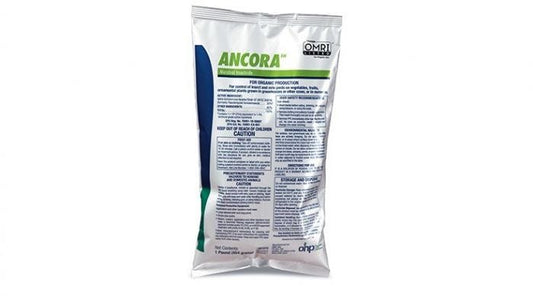 Ancora - 1LB Bag Main Image