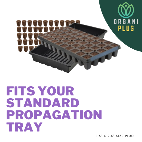 OrganiPlug Seed & Cutting Plugs - Pre-Filled Tray w/ 50 Tall Plugs - Case of 5 Trays / 250 Plugs Fits Propagation Tray