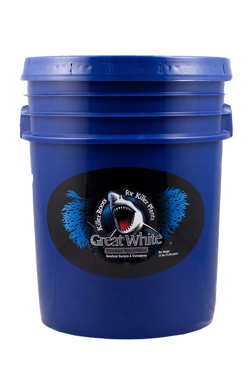 Three containers of Great White Mycorrhizae plant supplement, with the primary container being the largest and labeled 'Killer Fungi for Killer Yields'. The smaller containers are alike in size and have the text 'Great White' and 'Premium Mycorrhizal' visible.