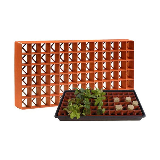 Grodan Gro-Smart tray insert shown with a seedling tray and stone wool plugs