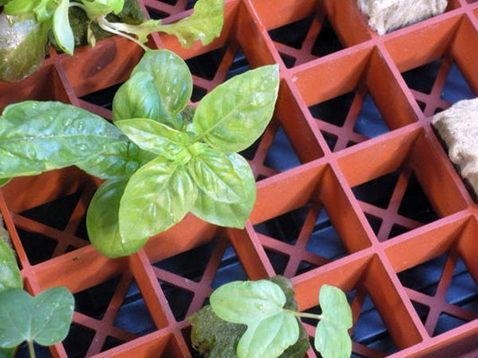 Grodan Gro-Smart Tray Insert Closeup