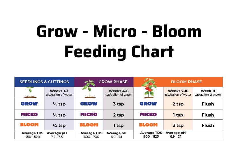 Perfect Mix- Micro 1.6-1.4-1.6
