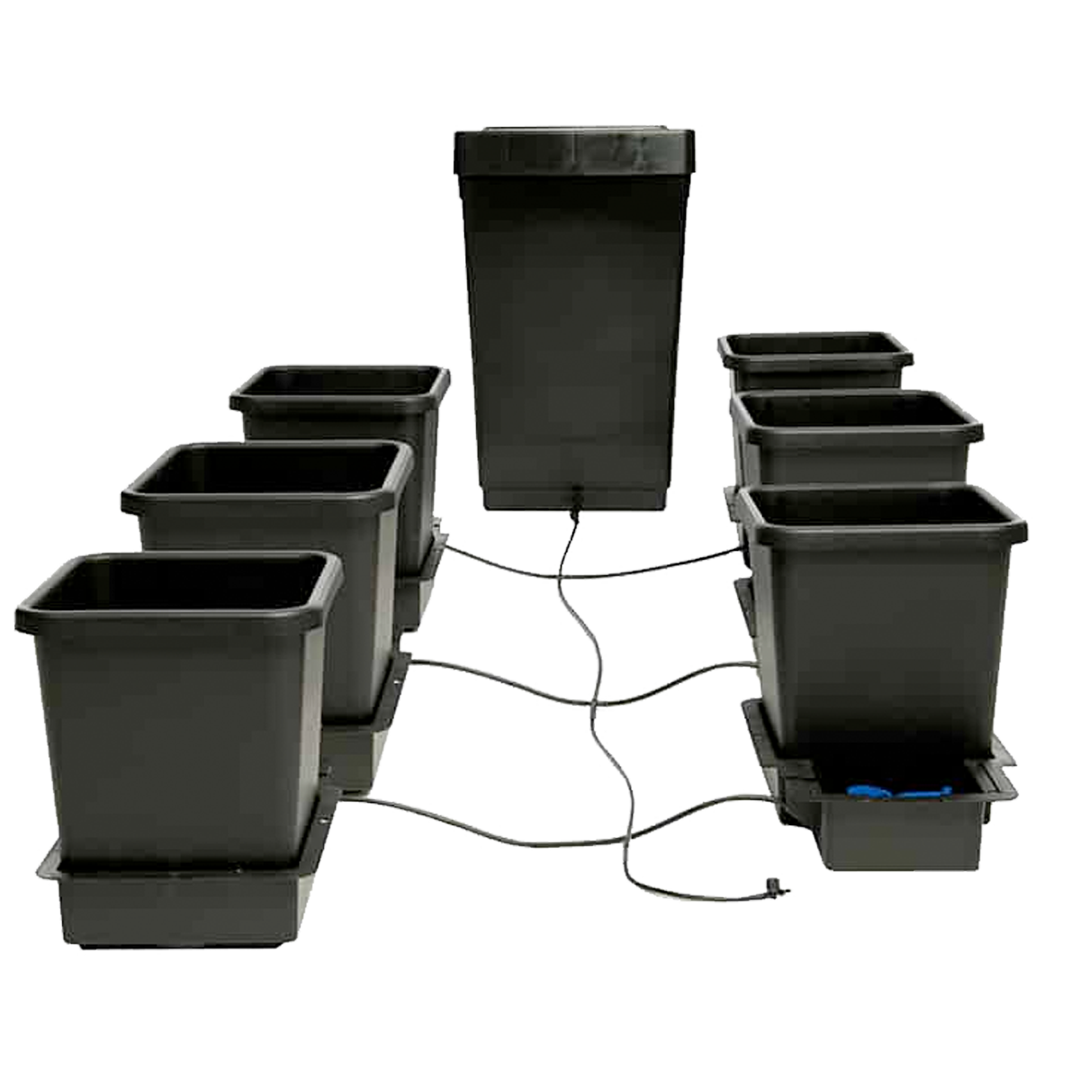 AutoPot - 6Pot System