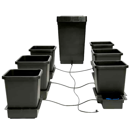 AutoPot - 6Pot System