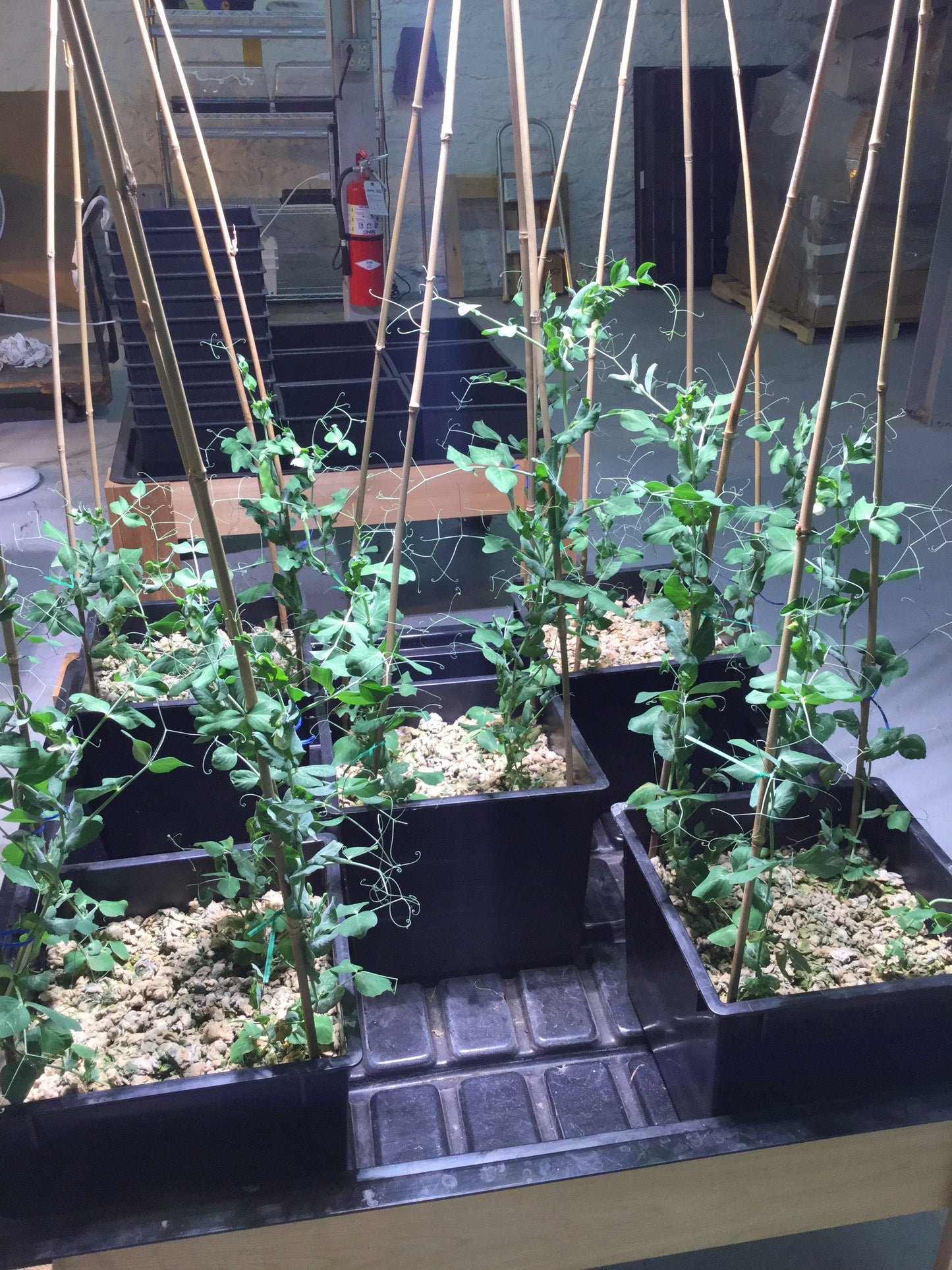 Growpito Sim Mix 1.5 cu ft