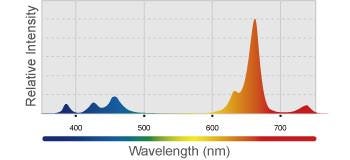 Kessil H80 Tuna Flora LED Grow Light BLOOM Spectrum