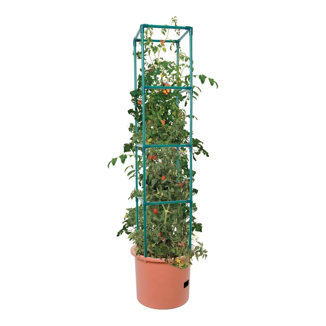 Heavy Duty Tomato Barrel w/Tower - tomato barrel with 4 ft support tower