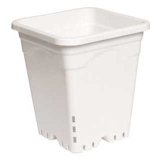 12 inch plastic plant pots 12 inch x 12 inch Square White Pot, 12 inch Tall, 24 per case direct from Growers House – GrowersHouse
