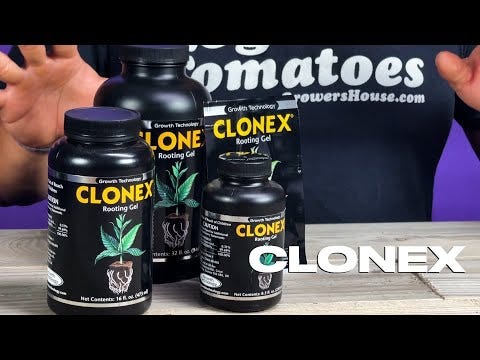 HydroDynamics Clonex Mist 100ml