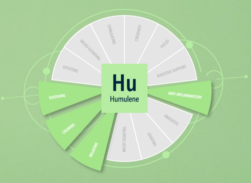 Integra Terpene Humulene 4g 64% Potential Effect Chart View
