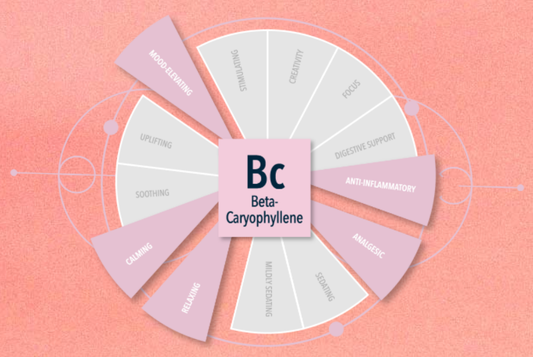 Integra Terpene Essentials 4g Caryophyllene 62% Relative Humidity master case of 288 packs Potential Effect Chart Image