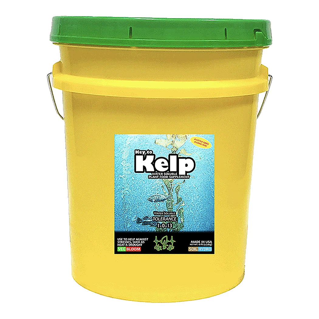 Key to Kelp 1-0-13 soluble kelp powder, 20 lb pail with green lid