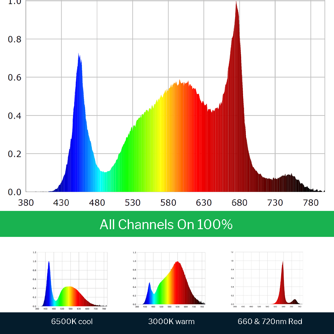 Spectrum Chart