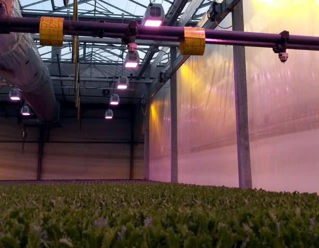 Heliospectra LX602C LED Grow Light