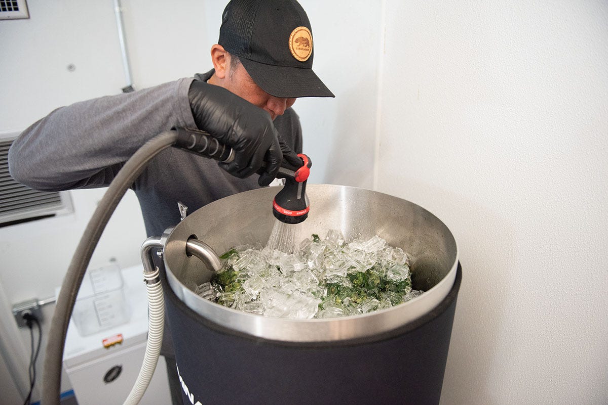 Triminator Maker Standard - (20 GAL) Washing