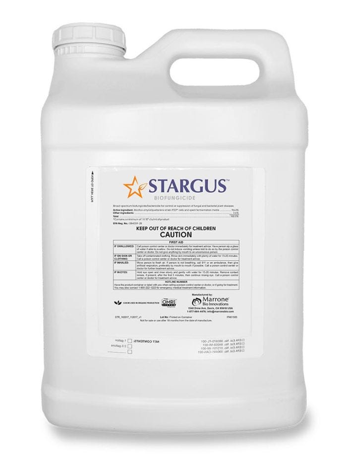 Marrone Bio - Stargus 2.5 Gal - Main Image