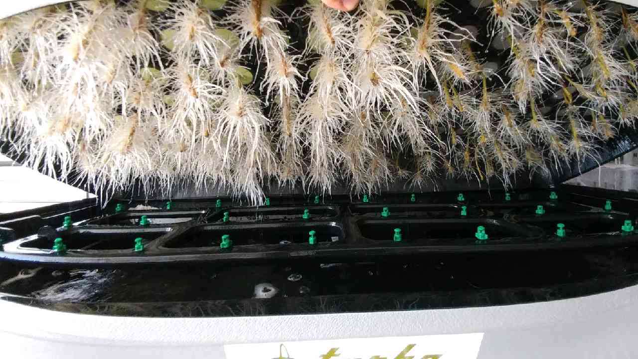 TurboKlone - Elite Klone Machine Roots