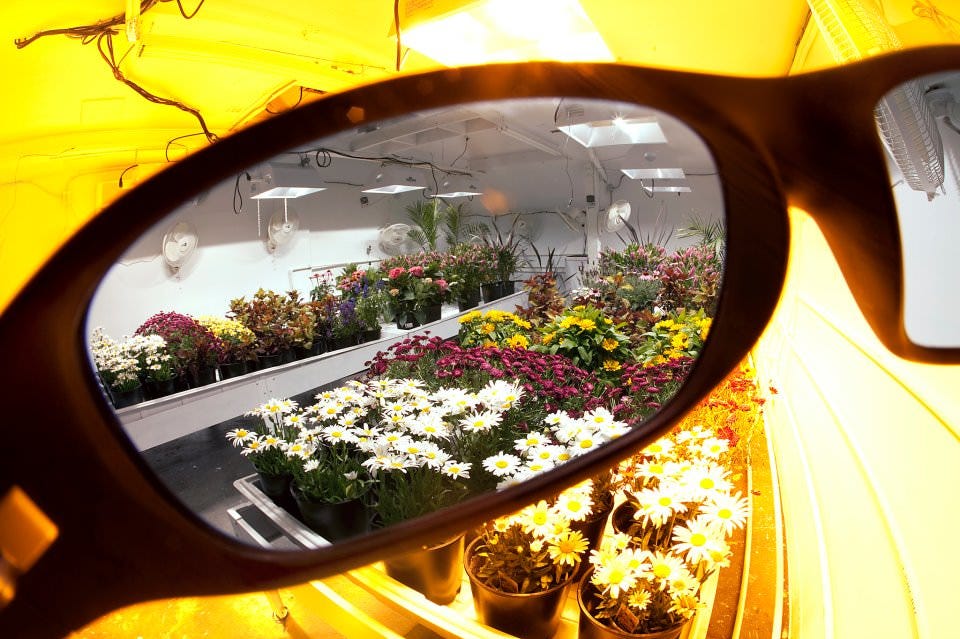 Method Seven 7 Resistance Perfect Color HPS Plus+ Glasses