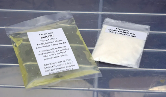 Multkit-BAP-Multiplication-Media-Bottle MS Nutrients and gel