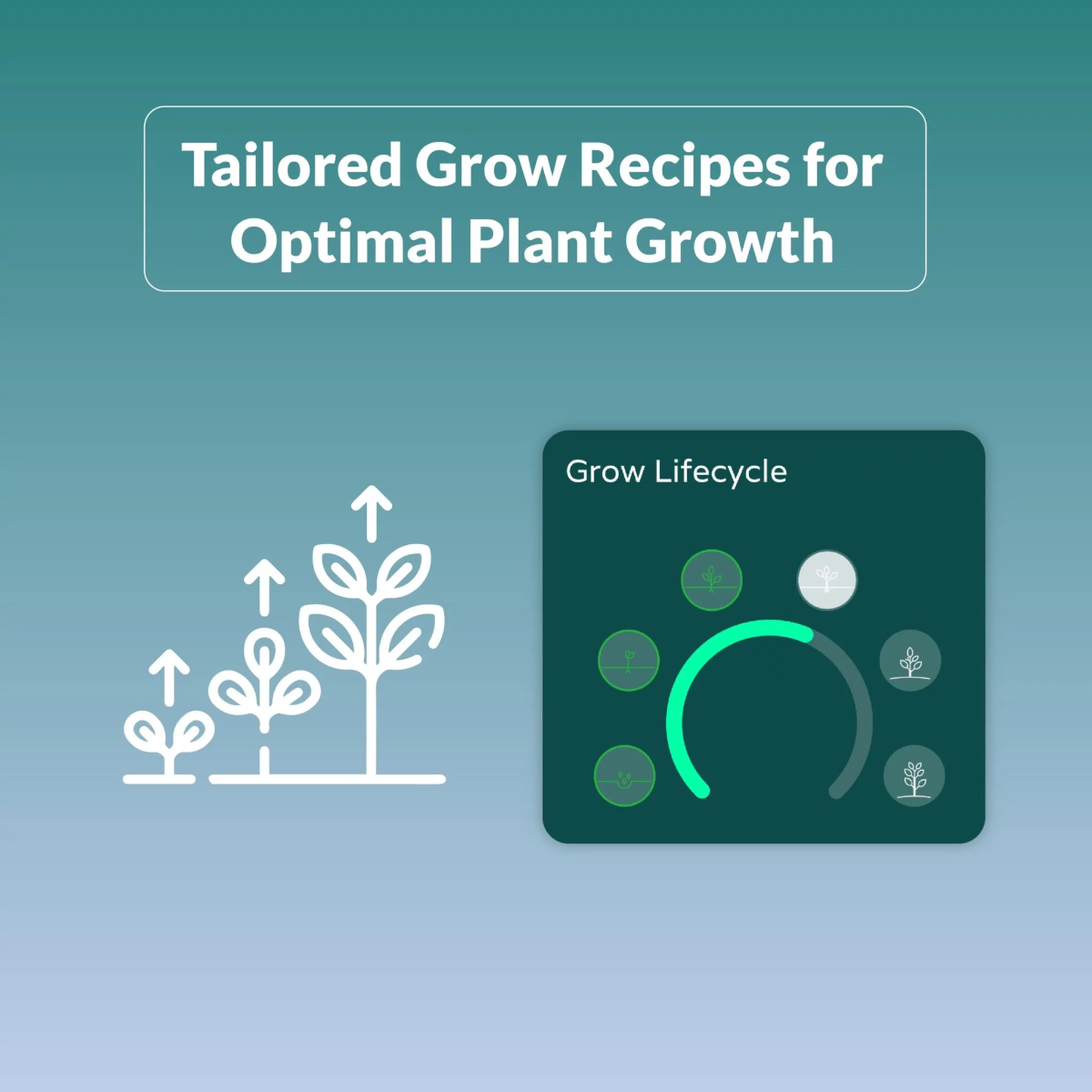 Niwa CO2 Sensor Tailored Grow