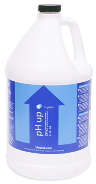 Bluelab pH Up Solution - 1 Gal