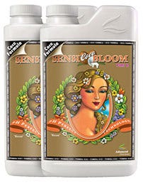 Advanced Nutrients - Sensi Coco Bloom Part B - pH Perfect