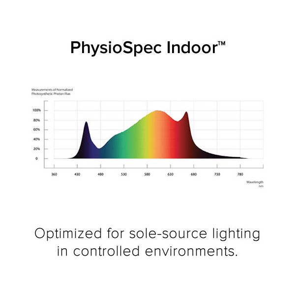 Fluence RAY44 w/RAYMOUNT PhysioSpec