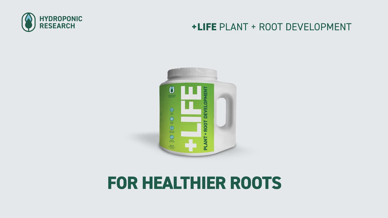 +life Powdered Probiotic overview