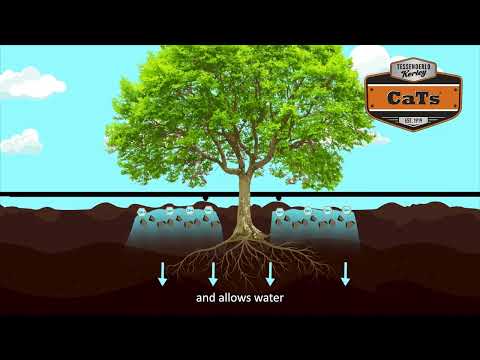 Tessenderlo Kerley CaTs Calcium Thiosulfate - 30GAL