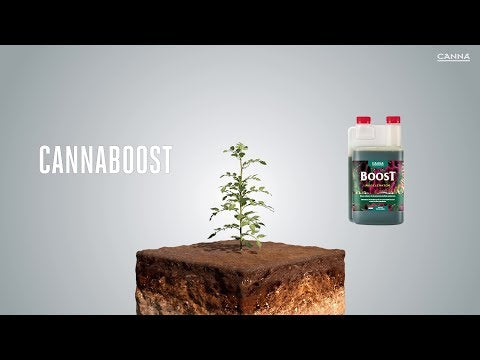 Canna Boost Accelerator how to use