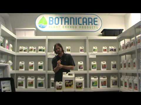 Botanicare Silica Blast Video