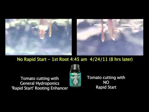 Rooting Enhancer video