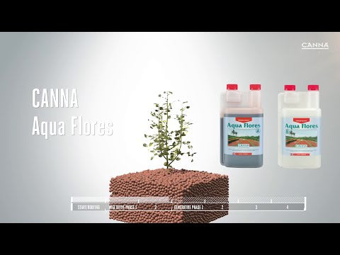 CANNA Aqua Flores how to use