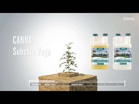 CANNA Substra Vega overview