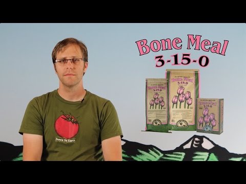 Down To Earth's Bone Meal 3-15-0 overview