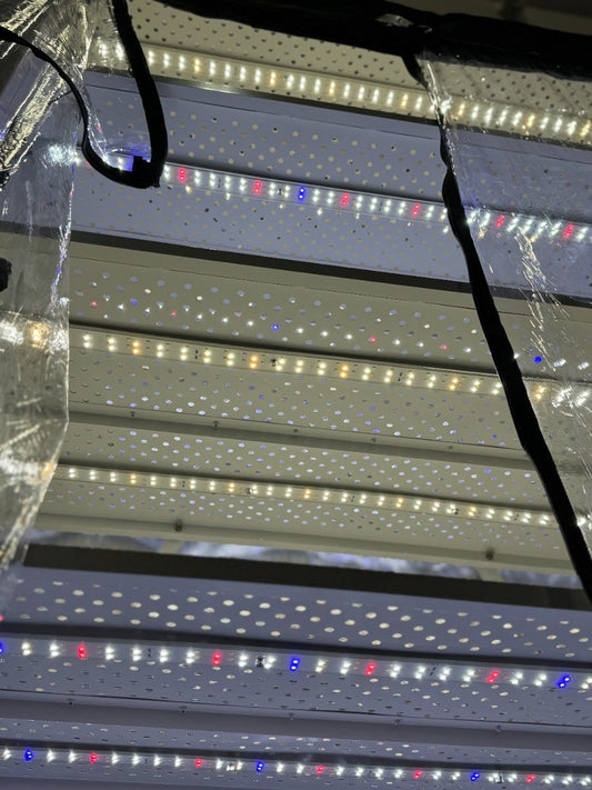Growers Choice Pro Pod Clone & Propagation - Veg Lighting System LED LIghts